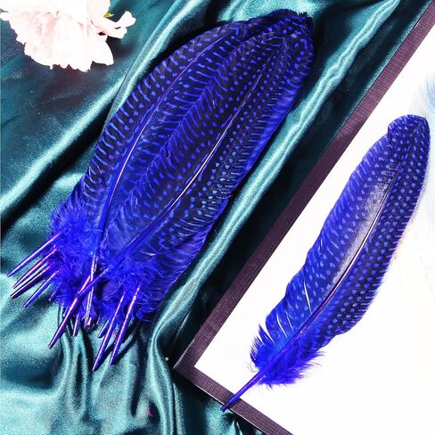 ثاراهت 24 قطعة من الريش المرقط الطبيعي بألوان مختلفة ريش جناح الطيور الغينية مقاس 6-8 بوصات للملابس الحرفية والمجوهرات DIY ديكور ريش جناح الطيور الغينية in Kuwait