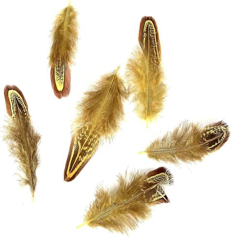 ثاراهت 24 قطعة من الريش المرقط الطبيعي بألوان مختلفة ريش جناح الطيور الغينية مقاس 6-8 بوصات للملابس الحرفية والمجوهرات DIY ديكور ريش جناح الطيور الغينية in Kuwait