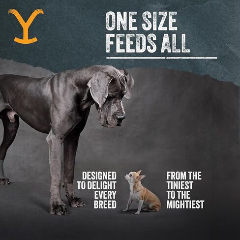 Yellowstone Limited Ingredient Dog Treats Beef Brisket - Healthy Dog Treats Made in USA - Air Dried Beef Collagen Dog Jerky Treats - Crunchy & Chewy Dog Treats - Beef Dog Treats Jerky - 4 oz in Kuwait