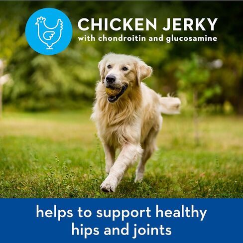 Spot Farms Chicken Jerky Healthy All Natural Dog Treats Human Grade For Hip And Joint 12 oz in Saudi Arabia