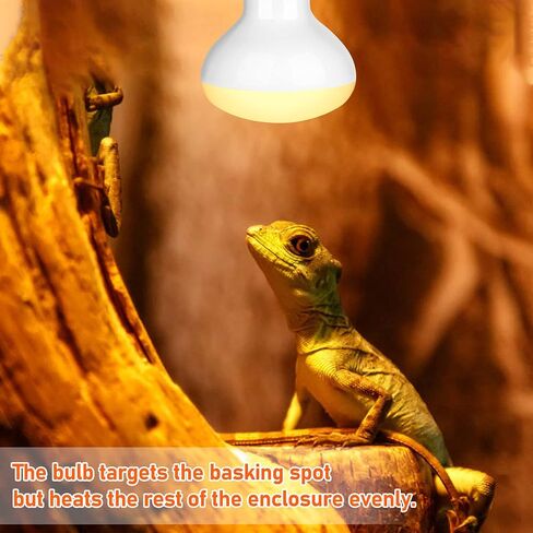 Reptile Heat Lamp 75W UV Heat Light Bulb, Basking Daylight Spot Bulb for Lizard, Tortoise, Bearded Dragon (E26,110V) in Saudi Arabia