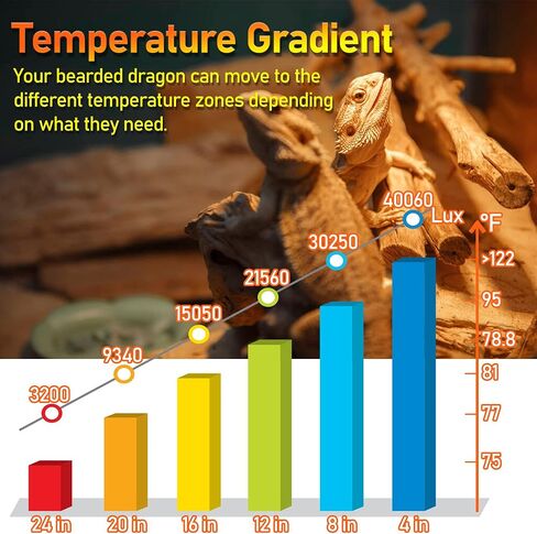 Reptile Heat Lamp 75W UV Heat Light Bulb, Basking Daylight Spot Bulb for Lizard, Tortoise, Bearded Dragon (E26,110V) in Saudi Arabia