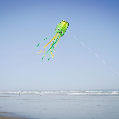 In the Breeze 3388 — Purple Pop Jelly Kite — Non-Assembly, Easy-Flying Kite with Long Streamer Tails; Kite Line Included… in Saudi Arabia