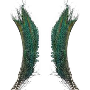 50pcs Natural Peacock Sword Feathers 12-14 Inch for Home Decor Wedding Party Vase Decoration Hat Costume DIY Crafts Floral Arrangements Christmas Tree Ornaments (25 Left & 25 Right)