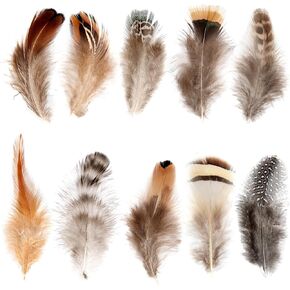Lamar Feather Natural Pheasant Feathers 10 Style 100Pcs Assorted Feathers for Cowboy Hat, Jewelry Making, Home Crafting, Wedding Party
