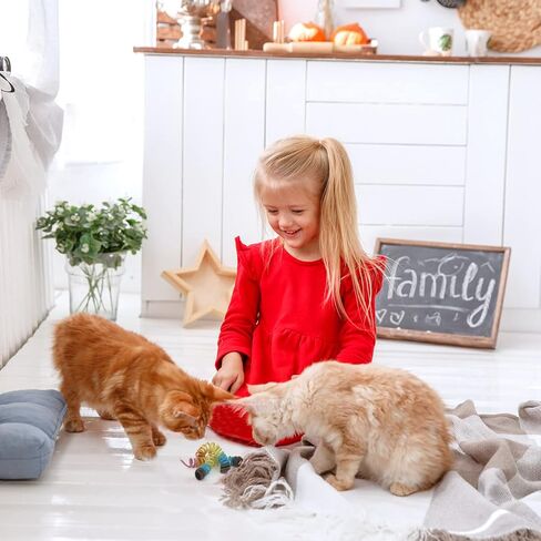 Glaciart One Felt Spring Cat Toy – 5 Pcs Soft Fuzzy Enrichment 100% Natural Wool Toy - Interactive Stretchable Play Cat Toy Set - Safe for Pets, Non-AZO Colored Dyes - 30" Long in Kuwait