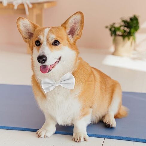 Dog Bow Ties for Large Dogs, KOOLMOX Wine Red Adjustable Dog Collar Bow Tiefor Medium and Large Dogs Cats Pets Wedding Birthday Graduation Holiday Halloween Cosutmes in Saudi Arabia