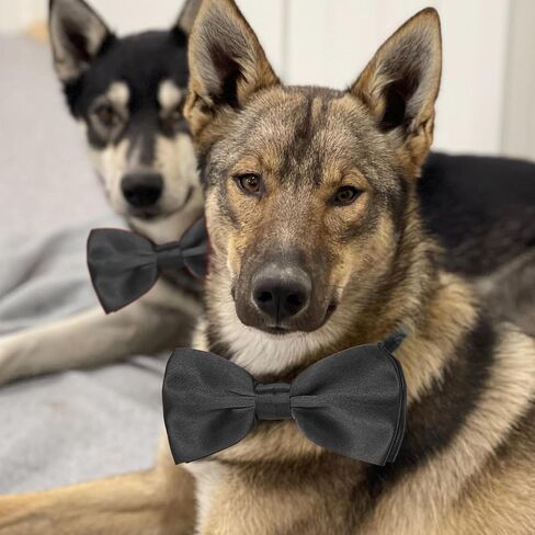 Dog Bow Ties for Large Dogs, KOOLMOX Wine Red Adjustable Dog Collar Bow Tiefor Medium and Large Dogs Cats Pets Wedding Birthday Graduation Holiday Halloween Cosutmes in Saudi Arabia