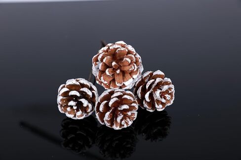 24 Pack Natural Snow Pine Cone Picks Bendable Floral Picks for Christmas Tree Decoration, Front Door Wreaths, Candle Rings, DIY Crafts, Holiday, Wedding, Party, Home Decor in Saudi Arabia
