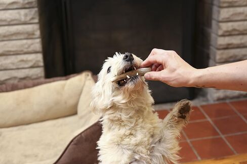 Pet Parents Gnawtlers-Premium Deer Antlers for Dogs, Naturally Shed Deer Antlers, All Natural Deer Antler Dog Chew, Selected from The Heartland Region (Small, 1 Count) in Kuwait