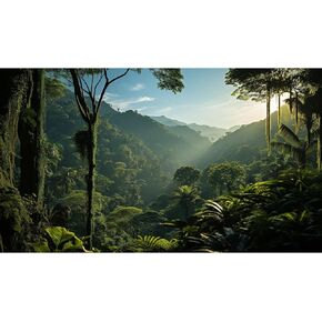 Tropical Aquarium Background Rainforest Jungle Style Terrarium Backdrop Blue Sky Forest Lush Tropical Plants Sunlight Fish Tank Background Reptile Habitat Backdrop Decor Vinyl 36x20in