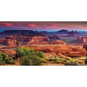36X18IN Desert Loess Rock Cactus Oasis Reptile Habitat Background, Natural Sunset Desert Themed Terrarium Background, Aquarium Background with 10 EVA Double-Sided Tape