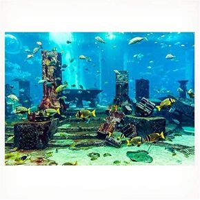 Undersea City Ruins Aquarium Poster, PVC Coral Aquarium Background Underwater Poster Fish Tank Wall Decorations Sticker(61 * 30cm)