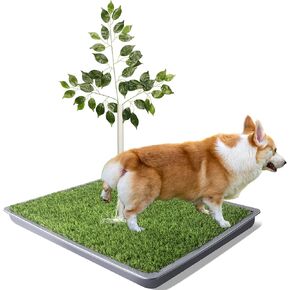 Grass Pee Pad for Dogs, Artificial Grass for Dog Training(No Clips), Litter Box Tray,2 Pack Replaceable Grass Indoor/Outdoor Puppy/Large Dogs, Washable,Easy Assemble Cleaning, Large 26"x26"
