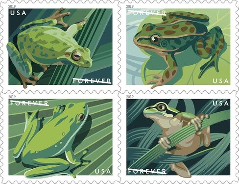 Frogs (Booklet of 20) First-Class Mail Forever Postage Stamps 2019 Scott 5395-5398 in Saudi Arabia