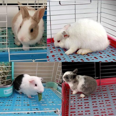 Hamiledyi 12 Pcs Rabbit Cage Mats Small Animal Plastic Feet Pads Floor Mat for Pet Cats Dogs Bunny Hamster Rat Chinchilla Guinea Pig(Green) in Saudi Arabia