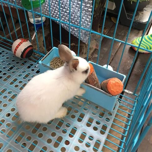 Hamiledyi 12 Pcs Rabbit Cage Mats Small Animal Plastic Feet Pads Floor Mat for Pet Cats Dogs Bunny Hamster Rat Chinchilla Guinea Pig(Green) in Saudi Arabia