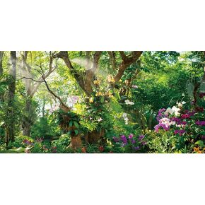 AWERT 72x24 inches Jungle Terrarium Background Grass Flowers Trees Sunlight Reptile Habitat Background Garden Plants Aquarium Background Vinyl Background