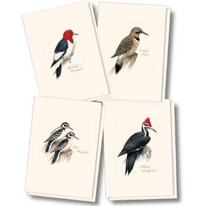 Earth Sky + Water - Peterson’s Woodpecker Assortment Notecard Set - 8 Blank Cards with Envelopes (2 each of 4 styles)