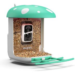 Bird Feeder with Camera, Smart Bird Feeder Camera with AI Identify Bird Species, Auto Capture Bird Videos & Instant Notifications, Live View, Solar Panel, Ideal Gift for Bird Lover, Red