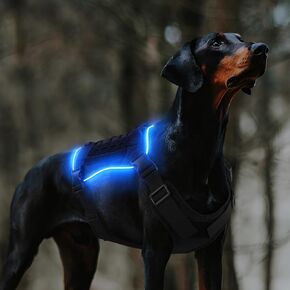 PcEoTllar Light Up Dog Harness، قابلة للشحن مضاءة التكتيكية الكلب تسخير، RGB LED الكلب تسخير، في الهواء الطلق قابل للتعديل سترة الكلب، للمشي ليلا، والمشي لمسافات طويلة، والتدريب، م