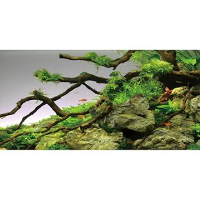 AWERT 24x16 inches Branches Aquarium Background Stone River Bed & Lake Fish Tank Background Green Algae Aquarium Background Vinyl Background