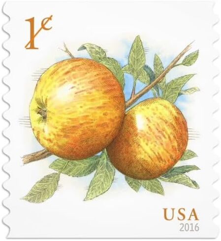 Apple 2016 سنت واحد (لفة 100) طوابع بريدية أمريكية نهائية إضافية لاستخدام البريد تفاح in Saudi Arabia