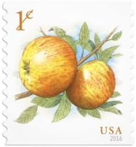 Apple 2016 سنت واحد (لفة 100) طوابع بريدية أمريكية نهائية إضافية لاستخدام البريد تفاح in Saudi Arabia