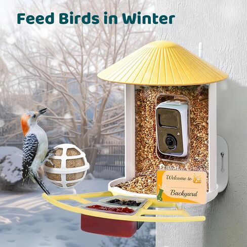 NETVUE by Birdfy Pro Perch - Wider Extension Perch to DIY Add-ons Including Suet Ball, Mini Hummingbird Feeder, Fruit Holder, Jelly Feeder and Welcome Card, Ideal for Bird Lover (Blue) in Kuwait