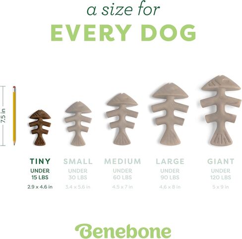 Benebone Tiny 2-Pack Fishbone Durable Dog Chew Toys, Real Fish Flavor, Made in USA in Saudi Arabia