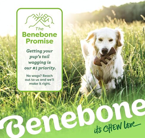 Benebone Tiny 2-Pack Fishbone Durable Dog Chew Toys, Real Fish Flavor, Made in USA in Saudi Arabia