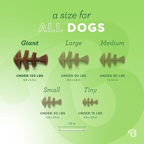 Benebone Tiny 2-Pack Fishbone Durable Dog Chew Toys, Real Fish Flavor, Made in USA in Saudi Arabia