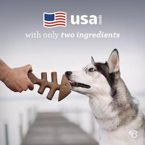 Benebone Tiny 2-Pack Fishbone Durable Dog Chew Toys, Real Fish Flavor, Made in USA in Saudi Arabia
