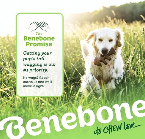 Benebone Tiny 2-Pack Fishbone Durable Dog Chew Toys, Real Fish Flavor, Made in USA in Saudi Arabia