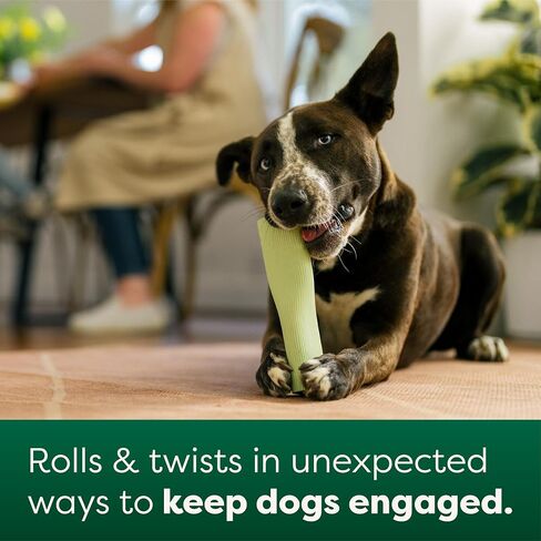 Earth Rated Dog Toy, Enrichment Toy for Adult and Puppy Dogs, Dishwasher and Freezer-Safe, Natural Rubber, Small, Green in Saudi Arabia