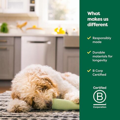 Earth Rated Dog Toy, Enrichment Toy for Adult and Puppy Dogs, Dishwasher and Freezer-Safe, Natural Rubber, Small, Green in Saudi Arabia