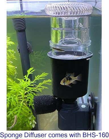 Aquarium Surface Skimmer (Filter Media & Pump not Included) in Saudi Arabia