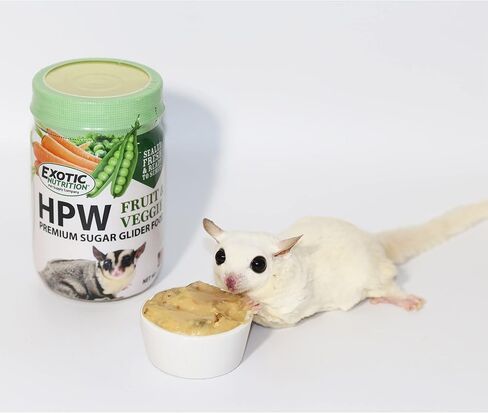 Exotic Nutrition Sugar Glider HPW Diet Jar - High Protein Healthy Natural No Mess Food for Sugar Gliders - High Protein Wombaroo Diet (Original) in Kuwait