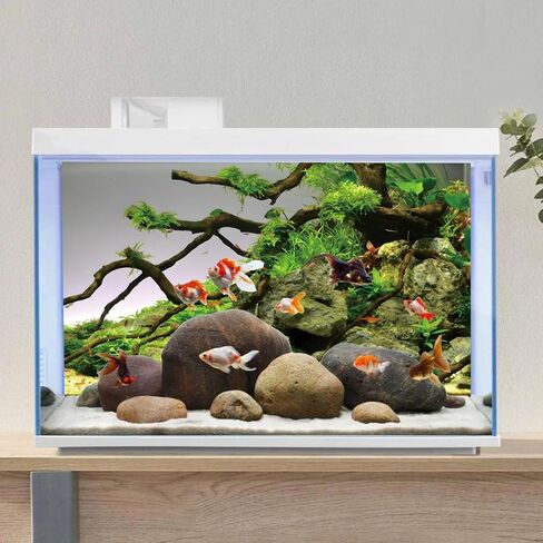 AWERT 24x16 inches Branches Aquarium Background Stone River Bed & Lake Fish Tank Background Green Algae Aquarium Background Vinyl Background in Kuwait