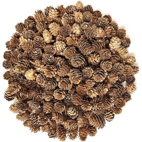 250PCS Christmas Pine Cones, Mini Pine Cones for Crafts, Bulk Small Pine Cones for Christmas Tree, Pinecones for Winter Christmas Wedding Decor
