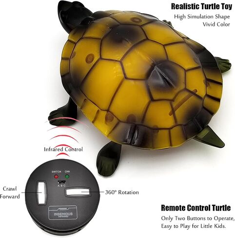 Tipmant Cute RC Turtle Remote Control Tortoise Toy Realistic Simulation Electric Electronic Animal for Cat Toddler Kids Birthday (Brown) in Kuwait