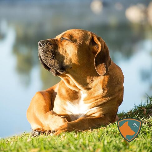 Calming Chews for Dogs - Anxiety Relief & Stress Reducer with Organic Hemp, Chamomile, Valerian Root, L-Tryptophan, Ginger Root & Melatonin - Anxiety and Stress Calming Treats for Dogs in Saudi Arabia