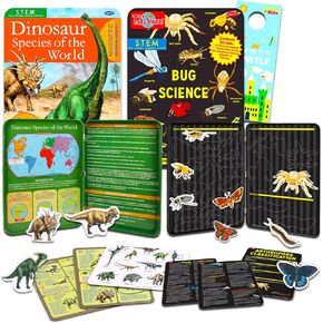 Educational Magnets Tins Set for Kids - Bundle with Bugs Science and Dinosaurs of The World Educational Tins Plus More | Magnetic Play Pieces