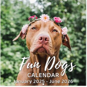 Calendar 2025-2026 - 18-Month Wall Calendar 2025-2026 Funny Dog Calendars from Jul. 2025 - Dec. 2026, 2025-2026 Calendar with Unruled Blocks, Holidays, 12" x 24"(open), Fun Wall Calendars Gag Gifts - Funny Dog