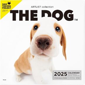 [ArtlistCollectionTHE DOG] Wall Calendar ≪Beagle≫ from September 2024 to December 2025-11.4" x 11.4" in Saudi Arabia