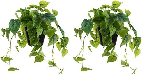 LuckyGreenery 2 حزمة من نباتات Scindapsus Aureus الاصطناعية، نباتات وهمية واقعية مع وعاء بلاستيكي للمنزل والمكتب وغرفة النوم والديكور الداخلي والخارجي (8 بوصات ارتفاع) in Kuwait