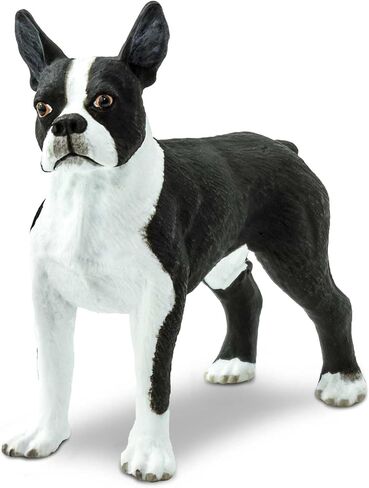 Safari Ltd. Boston Terrier Figurine - Lifelike 2.5" Model Figure - Educational Toy for Boys, Girls, and Kids Ages 3+ in Saudi Arabia