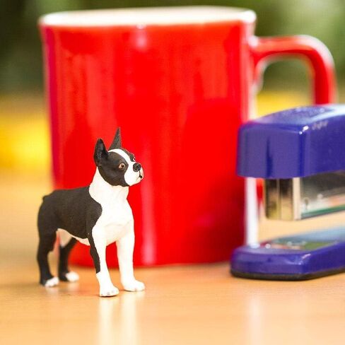 Safari Ltd. Boston Terrier Figurine - Lifelike 2.5" Model Figure - Educational Toy for Boys, Girls, and Kids Ages 3+ in Saudi Arabia