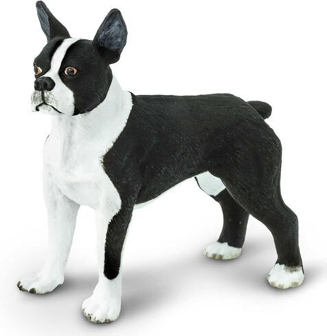 Safari Ltd. Boston Terrier Figurine - Lifelike 2.5" Model Figure - Educational Toy for Boys, Girls, and Kids Ages 3+ in Saudi Arabia