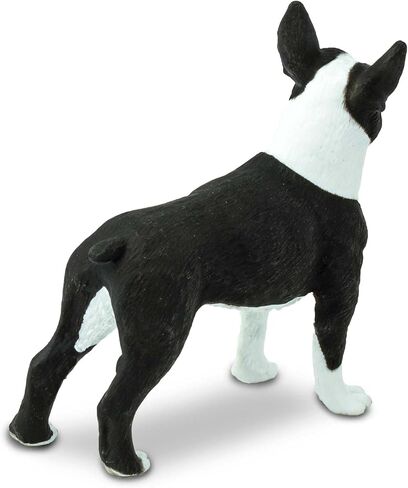 Safari Ltd. Boston Terrier Figurine - Lifelike 2.5" Model Figure - Educational Toy for Boys, Girls, and Kids Ages 3+ in Saudi Arabia